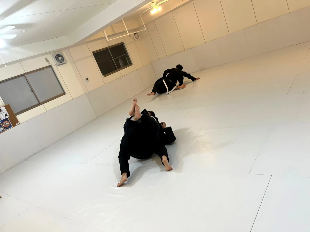 ブログ「2025/11/17」