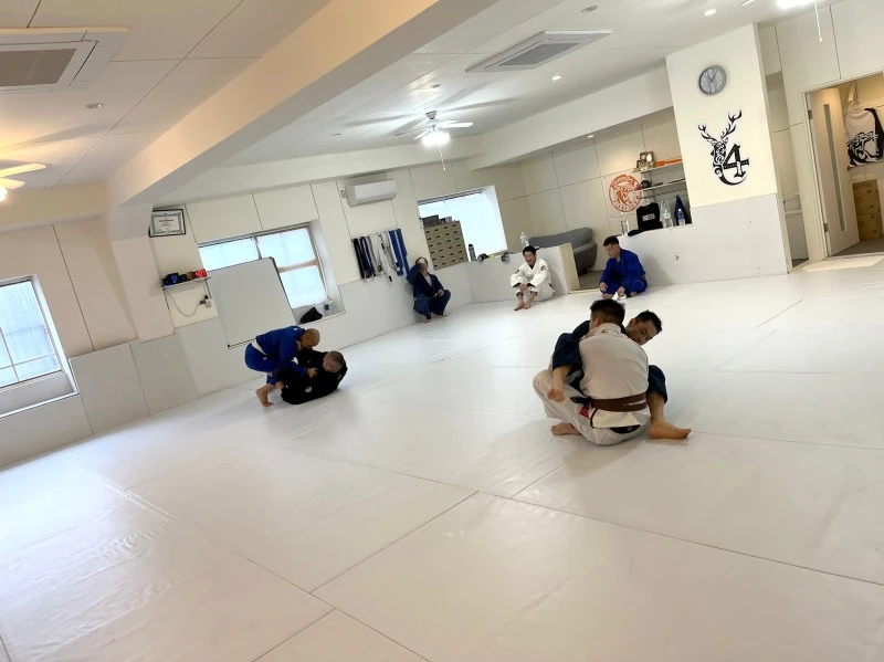 2025年11月09日 22:00のブログ：2025/11/9